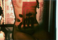 /album/metamorfose/foto-b-jpg/